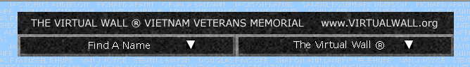 Vietnam Virtual Wall